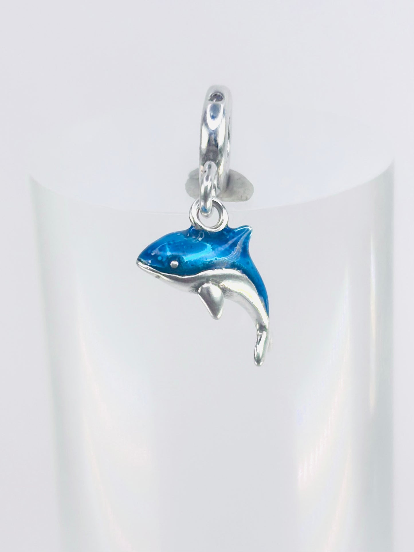 Dolphin Charm